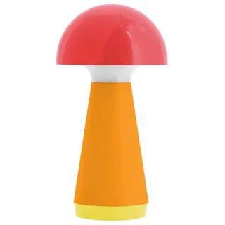 REMEMBER Bobbi Coral