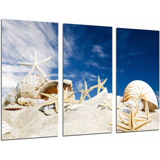 Wandbild - Maritime Landschaft, Strand, Conchen, Sterne im Sand, 97 x 62 cm, Holzdruck - XXL Format - Kunstdruck, ref.26936
