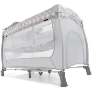 hauck Sleep'n Play Center teddy grey
