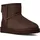 Dusted Cocoa 37