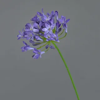 artplants.de Künstlicher Agapanthus PHILINA, blau, 75cm, Ø 14cm - Deko Blume