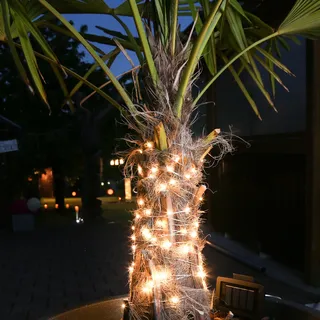buttinette Lichterkette Solar LED 100 LEDs