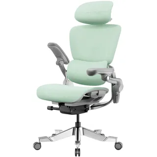 HINOMI H2 Pro Bürostuhl ergonomisch-Lordosenstütze,Kopfstütze&Armlehnen verstellbar,150kg belastbar,atmungsaktives Mesh,Drehstuhl für Home&Office,ergonomischer Schreibtischstuhl (Grün)