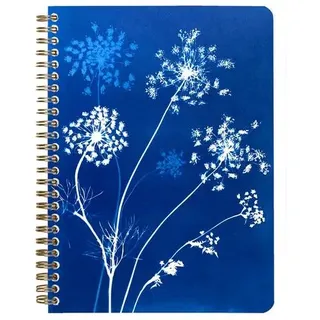 Clairefontaine 4x Notizbuch Spiralbindung A5 74 Blatt liniert sortiert 83504C