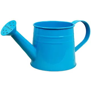 Gießkanne Klein Zimmerpflanzen 1L Kleine Gießkanne Metall Blumentopf Giesskanne Garten Balkon Watering Can Kieskanne Vintage Blumengießkanne Pflanzengießkanne Gartenwerkzeug (C)