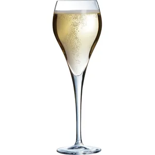Arcoroc - Kollektion Brio – 6 Champagnergläser 16 cl – Transparenz und Stärke – verstärkte Verpackung