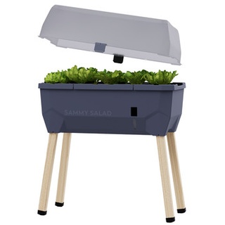 Gusta Garden Mini-Hochbeet Sammy Salad, inkl. Haube, ca. ..., Dunkelgrau