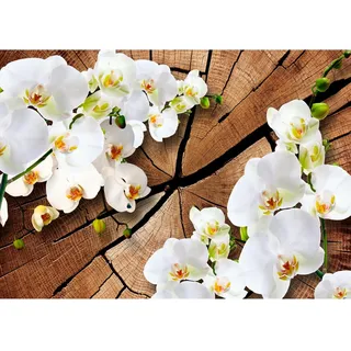 Runa Art Fototapete 3D Orchidee Holz 352 x 250 cm Vlies Tapeten XXL Moderne Wandtapete Wohnzimmer Schlafzimmer Weiss 9057011b