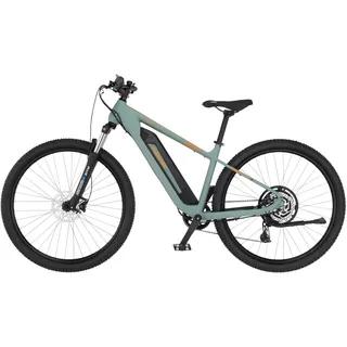 Fischer Montis 2.2 Active 29 Zoll RH 49 piniengrün matt