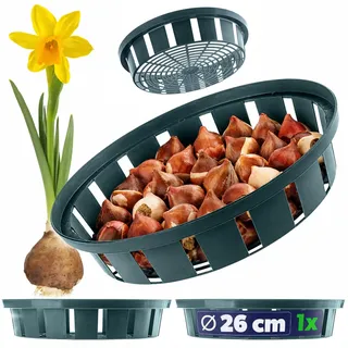 KADAX Pflanzenkorb Ø 26 cm für Blumenzwiebeln, Pflanzschale aus Kunststoff, Wühlmausschutz für Tulpen, Krokusse und andere Zwiebelpflanzen, Anzuchtschale