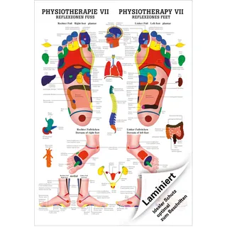 Reflexzonen Fuss Mini-Poster Anatomie 34x24 cm medizinische Lehrmittel, Laminiert