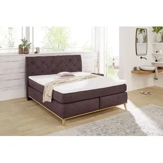 Jockenhöfer - Boxspringbett Hermine Mix 180x200cm: Aubergine 344/05 Dessin: Aubergine 344/05 - Lila