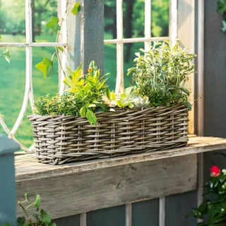 Rattan Pflanzkasten "Koboo Grey" 60 cm lang, grau, Balkon-Blumenkasten