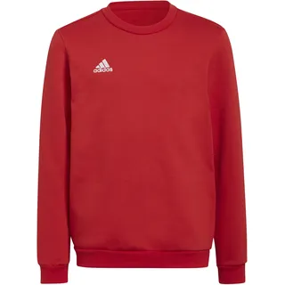 adidas Entrada 22 Red 164