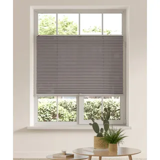 Plissee OTTO HOME "LAHOLM" Gr. 10, grau (anthrazit), B:70cm H:210cm, Obermaterial: 100% Polyester, Plissees, Fixmaß, Bestseller mit über 4000-Bewertungen, für Fenster & Tür