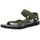 dark olive 43