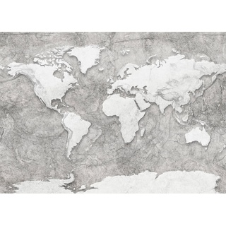 KOMAR Vliestapete "World Relief" Tapeten Gr. B/L: 350 m x 250 m, Rollen: 1 St., schwarz (schwarz, weiß) Tapeten Betonoptik