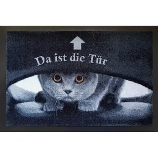 Trendstern Fußmatte Tiere Eulen Katzen Hunde Blumen für Innen und Außen Home 40x60 cm wetterfest rutschfest waschbar (Katze Tür)