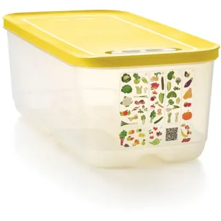 Tupperware VentilOfrais Dose 6,1 L - Aufbewahrung Obst Gemüse - ACE-Belüftungssystem - BPA-Freier Kunststoff - 38x18,8x13,5 cm - Profi-Qualität