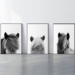 HMXQLW Schwarz Weiß Wandbilder Pferd Bilder kunstdrucke Wohnzimmer Deko, Leinwandbilder Poster und Drucke Wandkunst Schlafzimmer Rahmenlos (3X50X70CM)