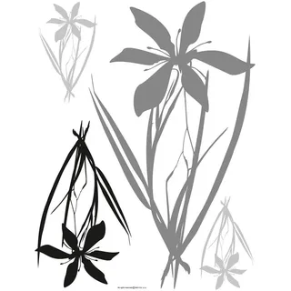 Sanders & Sanders Wandtattoo Blumen Grau, und Schwarz 65 x 85 cm, 600253