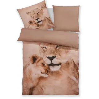 OTTO home Bettwäsche Lyki, Microfaser, 2 teilig, ab Größe 135x200 cm, 100% Polyester, Katze, Pferd, Löwe, Pinguin braun
