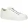 white 36