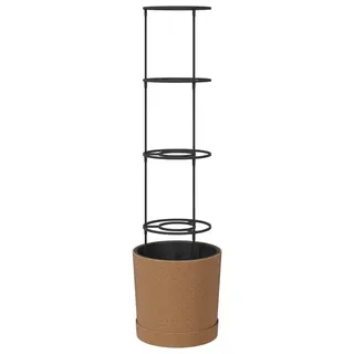 vidaXL Tomatenanbauer Naturo ECO Ø 39 x 139 cm Braun
