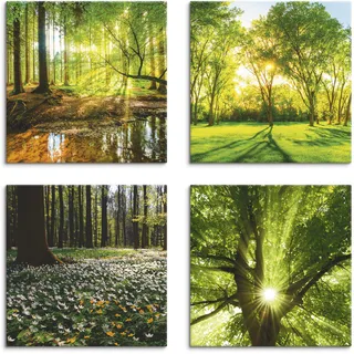 Leinwandbild ARTLAND "Wald Bach Frühling Windrosen Sonne Baum" Bilder Gr. B/H: 40 cm x 40 cm, Leinwandbild Wald quadratisch, 4 St., grün Leinwandbilder 4er Set, verschiedene Größen