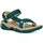 blue coral 36