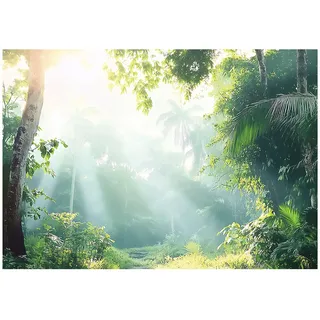 WallArena - Vlies Fototapete Wald 350x250 cm - Fototapeten - Tapeten - für Wohnzimmer Schlafzimmer - Vliestapete Wandtapete Tapete 3D Effekt- inkl. Kleister - Dschungel Wald tropisch Grün