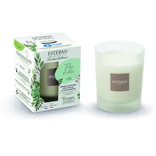Aloe Blume Duftkerze 180g