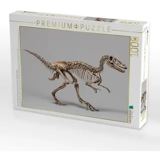 Calvendo Dinosaurier Velociraptor-Skelett 1000 Teile