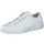 white 44