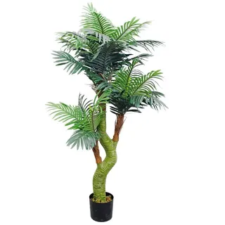 kentia palm plant Order Kentia Palm – Rolling Greens