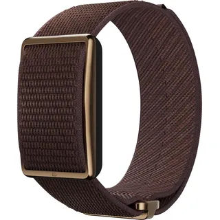 Polar Loop braun