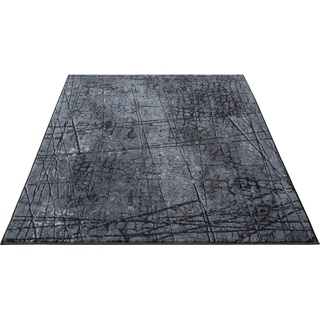 Teppich Elis Plus 6500, merinos, rechteckig, Höhe: 12 mm, strapazierfähiges Flachgewebe, Wohnzimmer, Flur, Diele grau