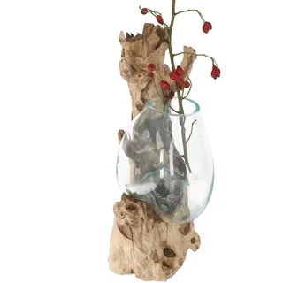 GURU SHOP Wandvase, Wurzelholz Vase, Exotische Vase Für die Wand - Glas 20x20 cm M9
