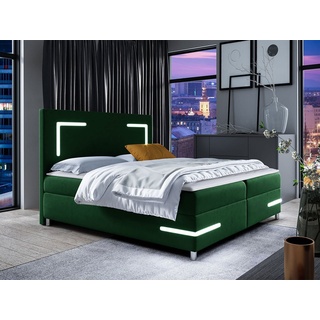Mirjan24 Boxspringbett »Delos LED« (mit Hauptmatratze, Topper und LED-Beleuchtung), Doppelbett mit zwei Bettkästen für die Bettwäsche grün 142 cm x 202 cm