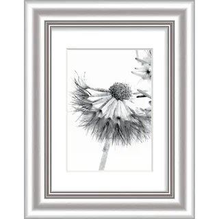 Bilderrahmen ELEGANCE silber (BH 30x24 cm) - silber - BH 30x24 cm