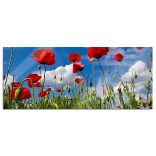 Pixxprint Glasbild Panorama, Wandbild aus Echtglas, Wiese mit Blumen, 100x40 cm, inkl. Aufhängung und Abstandshalter