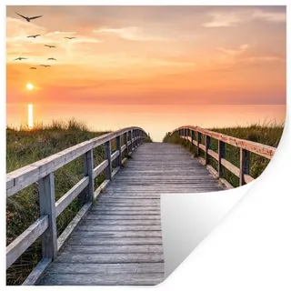 MuchoWow Wandsticker Sonnenuntergang - Meer - Weg - Gras - Düne - Vögel (1 St), Wandaufkleber, Selbstklebend, Wohnzimmer, 80x80 cm bunt 80 cm x 80 cm x 0.1 cm