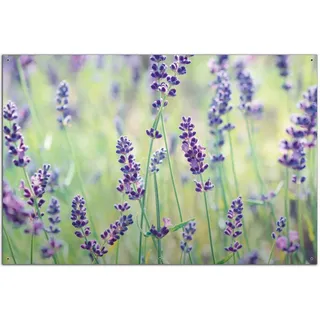 Wallario Outdoor-Poster für Garten oder Balkon Lila Blumenfreude - Violette Pflanzen auf der Wiese, Motivbanner Größe: ca. 60 x 90 cm, Outdoor-Bild