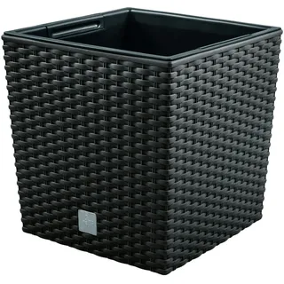 Prosperplast Rato Low 17 x 17 x 17 cm anthrazit