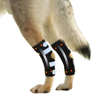 NeoAlly Dog Braces for Rear Legs Super Supportive with Dual Metal Spring Inserts to Stabilize Dog Hind Legs, Help Dogs with Injuries Sprains Arthritis ACL CCL (Small Pair)