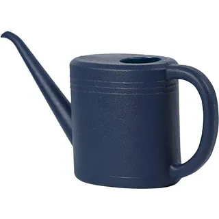 Kleine Gießkanne, Gießkanne für Innen- und Außenpflanzen, leichte Gartengießkanne für Blumen, Zimmerpflanzen und Gartenarbeit (blau)