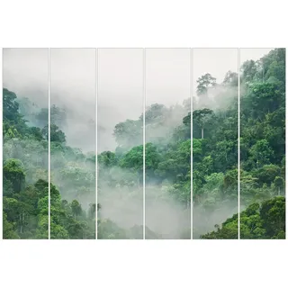 Bilderdepot24 Schiebegardine modern Flächenvorhang blickdicht Dschungel im Nebel (6 St), halbtransparent, Wohnzimmer große Flächengardine lichtdurchlässig als Klemm-System grau 360 cm x 250 cm