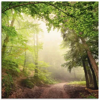 ARTland Wanddeko Glasbilder Wandbild Glas Bild einteilig Quadratisch Wald Baum Natur Landschaft Nebel Sonne Sommer Landhaus T5GR