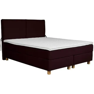 Home affaire Boxspringbett Nele, inkl. Topper im schlichtem Design lila 161 cm x 210 cm