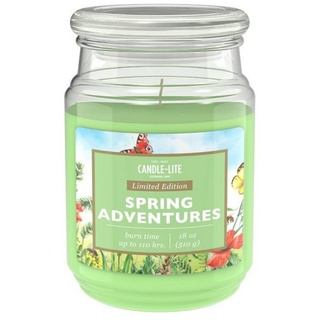 Candle-liteTM Duftkerze Duftkerze Spring Adventures - 510g (Einzelartikel) grün